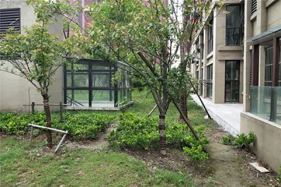 新疆中央公園小區